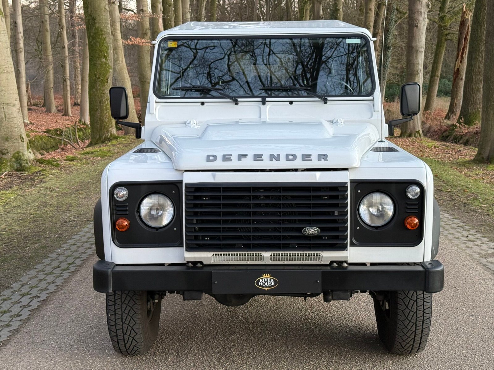 2016 Defender 110 vehicle photograph 04